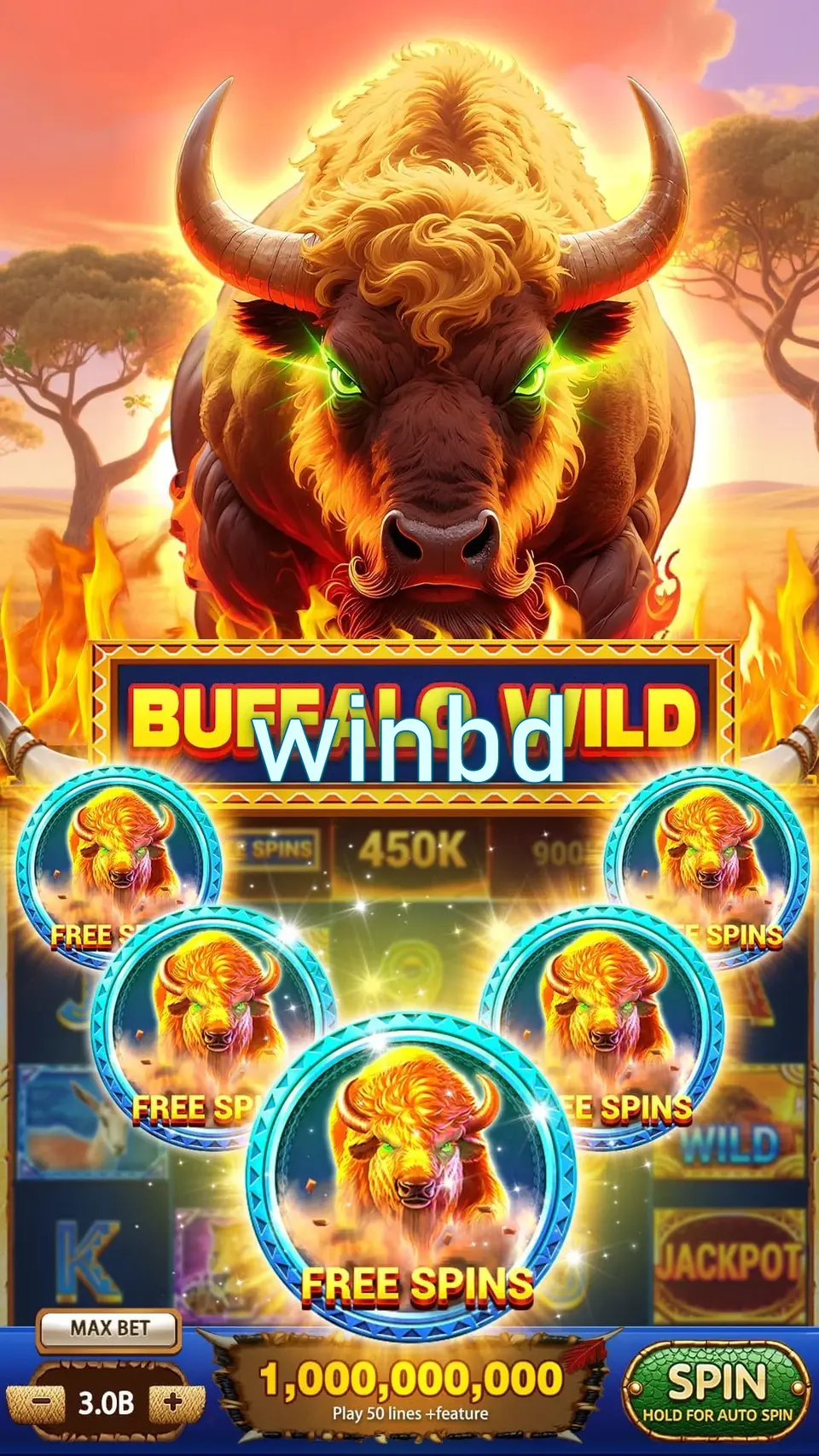 winbd লগইন